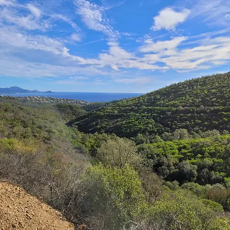 アパート Rooftop レ・ズィサンブル